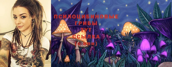ПСИЛОЦИБИНОВЫЕ ГРИБЫ Бугульма