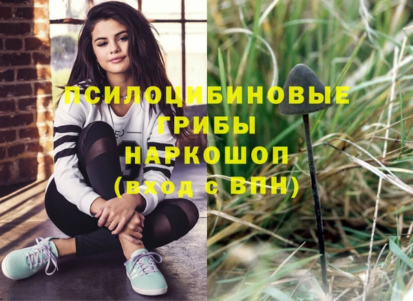 прущая мука Богородицк