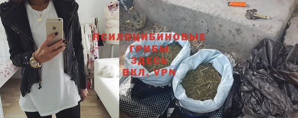 mix Богородск