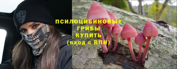 mix Богородск